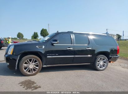 Lot #3036722042 2014 CADILLAC ESCALADE ESV PLATINUM EDITION