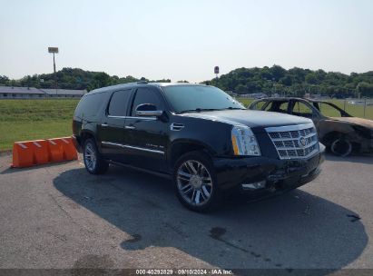 Lot #3036722042 2014 CADILLAC ESCALADE ESV PLATINUM EDITION