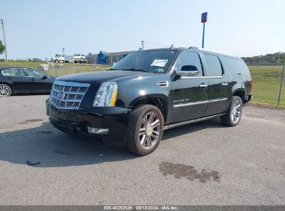 Lot #3036722042 2014 CADILLAC ESCALADE ESV PLATINUM EDITION