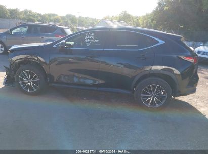 Lot #2992818711 2023 LEXUS NX 350H PREMIUM