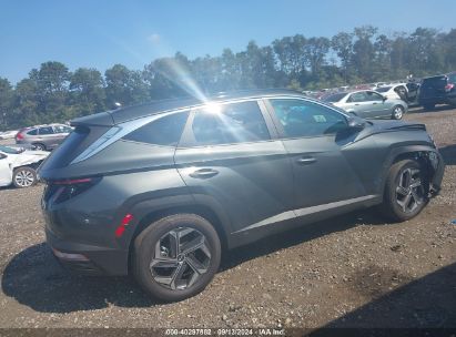 Lot #2997778764 2024 HYUNDAI TUCSON HYBRID SEL CONVENIENCE