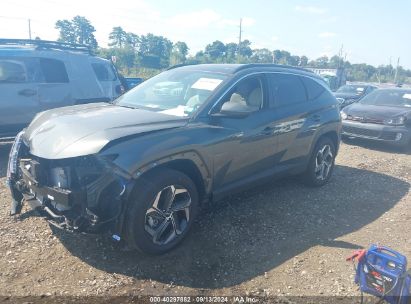 Lot #2997778764 2024 HYUNDAI TUCSON HYBRID SEL CONVENIENCE