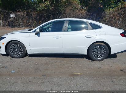 Lot #2997778757 2023 HYUNDAI SONATA HYBRID LIMITED