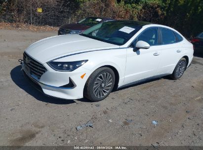 Lot #2997778757 2023 HYUNDAI SONATA HYBRID LIMITED