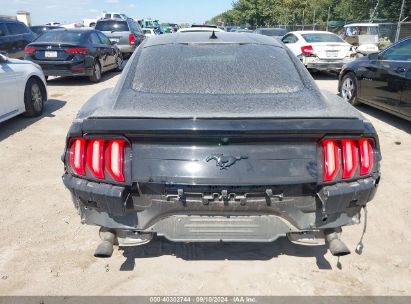 Lot #2992830897 2022 FORD MUSTANG ECOBOOST FASTBACK