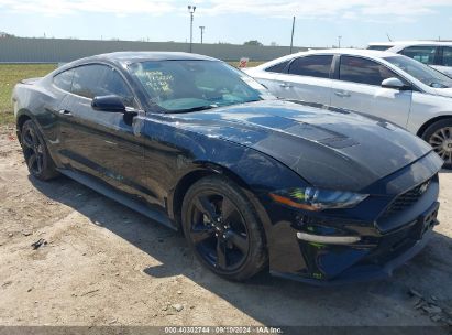 Lot #2992830897 2022 FORD MUSTANG ECOBOOST FASTBACK