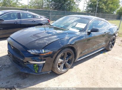 Lot #2992830897 2022 FORD MUSTANG ECOBOOST FASTBACK