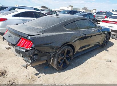 Lot #2992830897 2022 FORD MUSTANG ECOBOOST FASTBACK