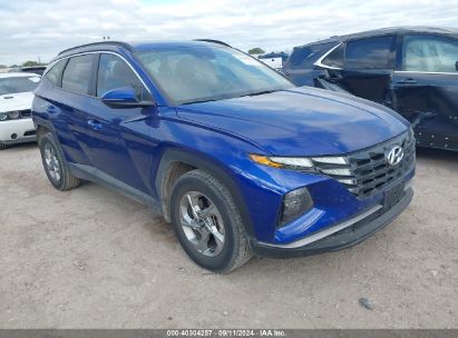 Lot #2992830891 2023 HYUNDAI TUCSON SEL