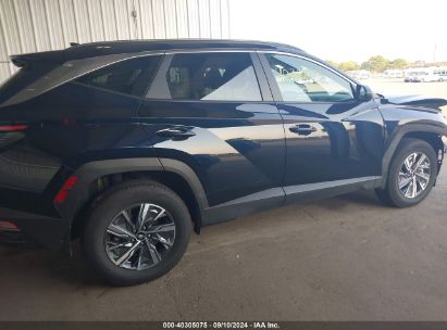 Lot #3000300682 2023 HYUNDAI TUCSON HYBRID BLUE