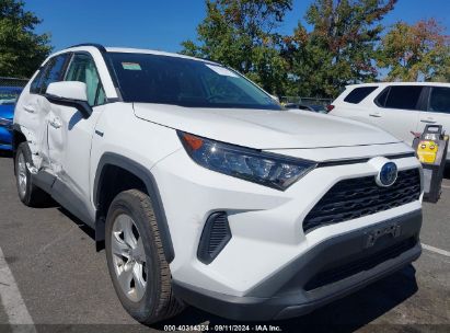 Lot #2991586703 2019 TOYOTA RAV4 HYBRID LE