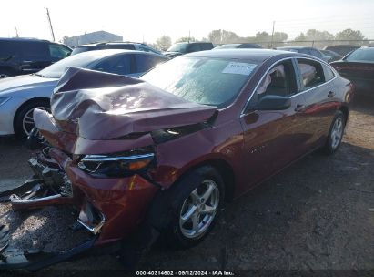 Lot #3035078120 2016 CHEVROLET MALIBU LS