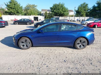 Lot #2997778363 2023 TESLA MODEL 3 REAR-WHEEL DRIVE