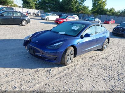 Lot #2997778363 2023 TESLA MODEL 3 REAR-WHEEL DRIVE