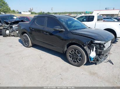 Lot #3035087520 2024 HYUNDAI SANTA CRUZ SEL