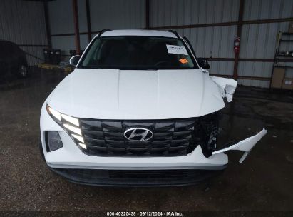 Lot #2990355103 2024 HYUNDAI TUCSON SEL