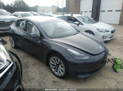 Lot #2992827529 2023 TESLA MODEL 3 LONG RANGE DUAL MOTOR ALL-WHEEL DRIVE