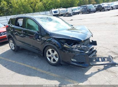 Lot #2992827533 2016 FORD ESCAPE SE