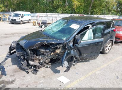 Lot #2992827533 2016 FORD ESCAPE SE