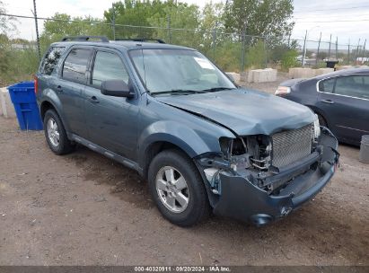 Lot #2992831834 2012 FORD ESCAPE XLT