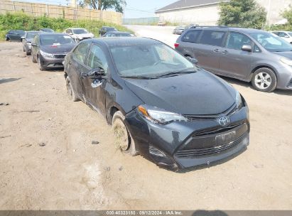 Lot #3035087507 2019 TOYOTA COROLLA LE