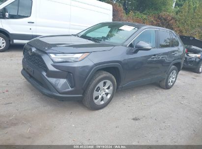 Lot #2997778336 2023 TOYOTA RAV4 LE