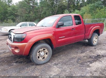 Lot #3035087510 2005 TOYOTA TACOMA PRERUNNER V6