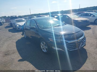 Lot #2992827515 2023 CHEVROLET MALIBU FWD LS