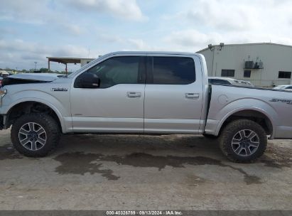 Lot #2991586730 2017 FORD F-150 XLT