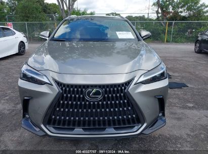 Lot #2992827510 2025 LEXUS NX 250