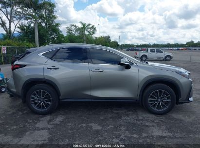 Lot #2992827510 2025 LEXUS NX 250