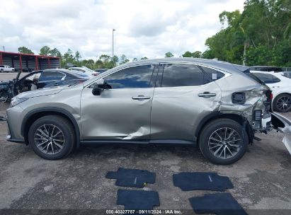 Lot #2992827510 2025 LEXUS NX 250