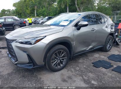 Lot #2992827510 2025 LEXUS NX 250