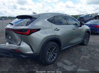 Lot #2992827510 2025 LEXUS NX 250