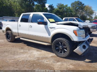 Lot #2996535584 2010 FORD F-150 FX4/HARLEY-DAVIDSON/KING RANCH/LARIAT/PLATINUM/XL/XLT