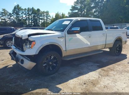 Lot #2996535584 2010 FORD F-150 FX4/HARLEY-DAVIDSON/KING RANCH/LARIAT/PLATINUM/XL/XLT