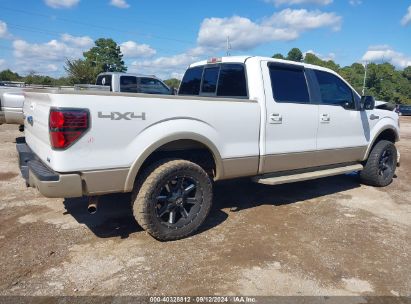 Lot #2996535584 2010 FORD F-150 FX4/HARLEY-DAVIDSON/KING RANCH/LARIAT/PLATINUM/XL/XLT