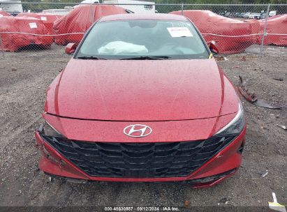 Lot #2992818462 2023 HYUNDAI ELANTRA SEL