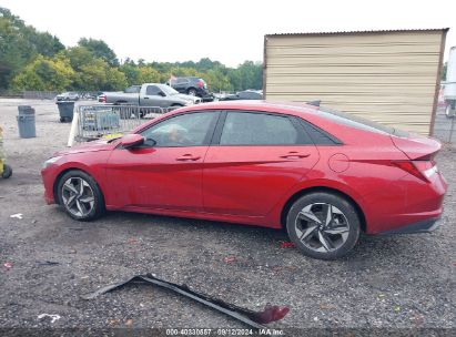 Lot #2992818462 2023 HYUNDAI ELANTRA SEL