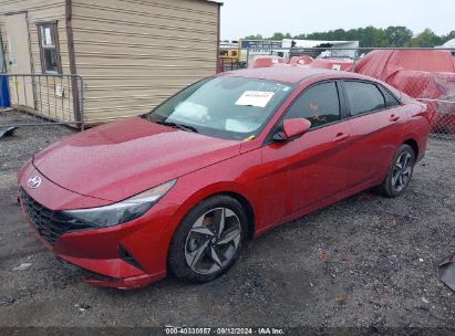 Lot #2992818462 2023 HYUNDAI ELANTRA SEL