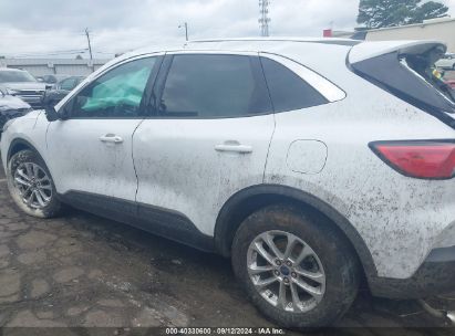 Lot #2987909531 2020 FORD ESCAPE SE