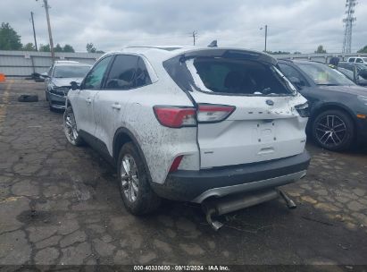 Lot #2987909531 2020 FORD ESCAPE SE