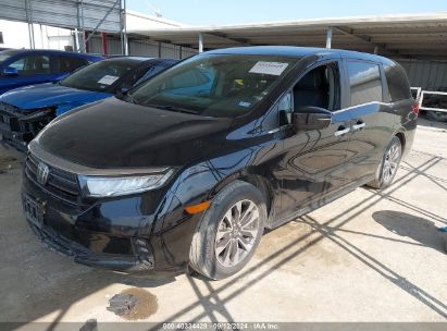 Lot #2992831091 2022 HONDA ODYSSEY EX-L