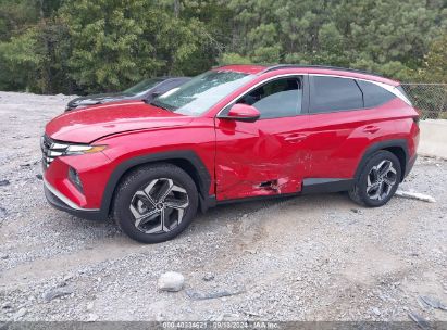 Lot #2997778526 2023 HYUNDAI TUCSON SEL