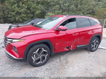 Lot #2997778526 2023 HYUNDAI TUCSON SEL