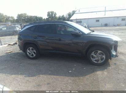 Lot #2992831088 2023 HYUNDAI TUCSON SEL