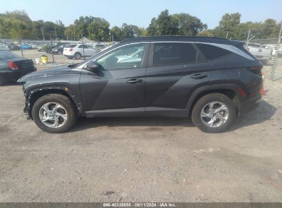 Lot #2992831088 2023 HYUNDAI TUCSON SEL