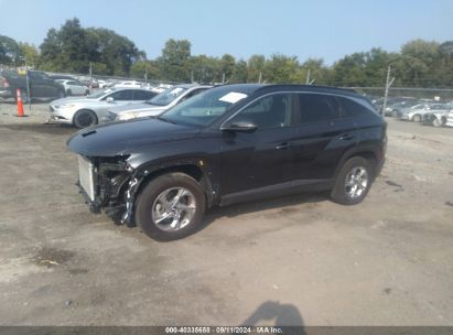 Lot #2992831088 2023 HYUNDAI TUCSON SEL