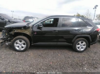 Lot #2997778490 2020 TOYOTA RAV4 XLE