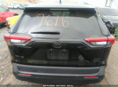 Lot #2997778490 2020 TOYOTA RAV4 XLE